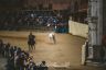 Palio Straordinario: la fotogallery delle Prove di Addestramento Mattutine